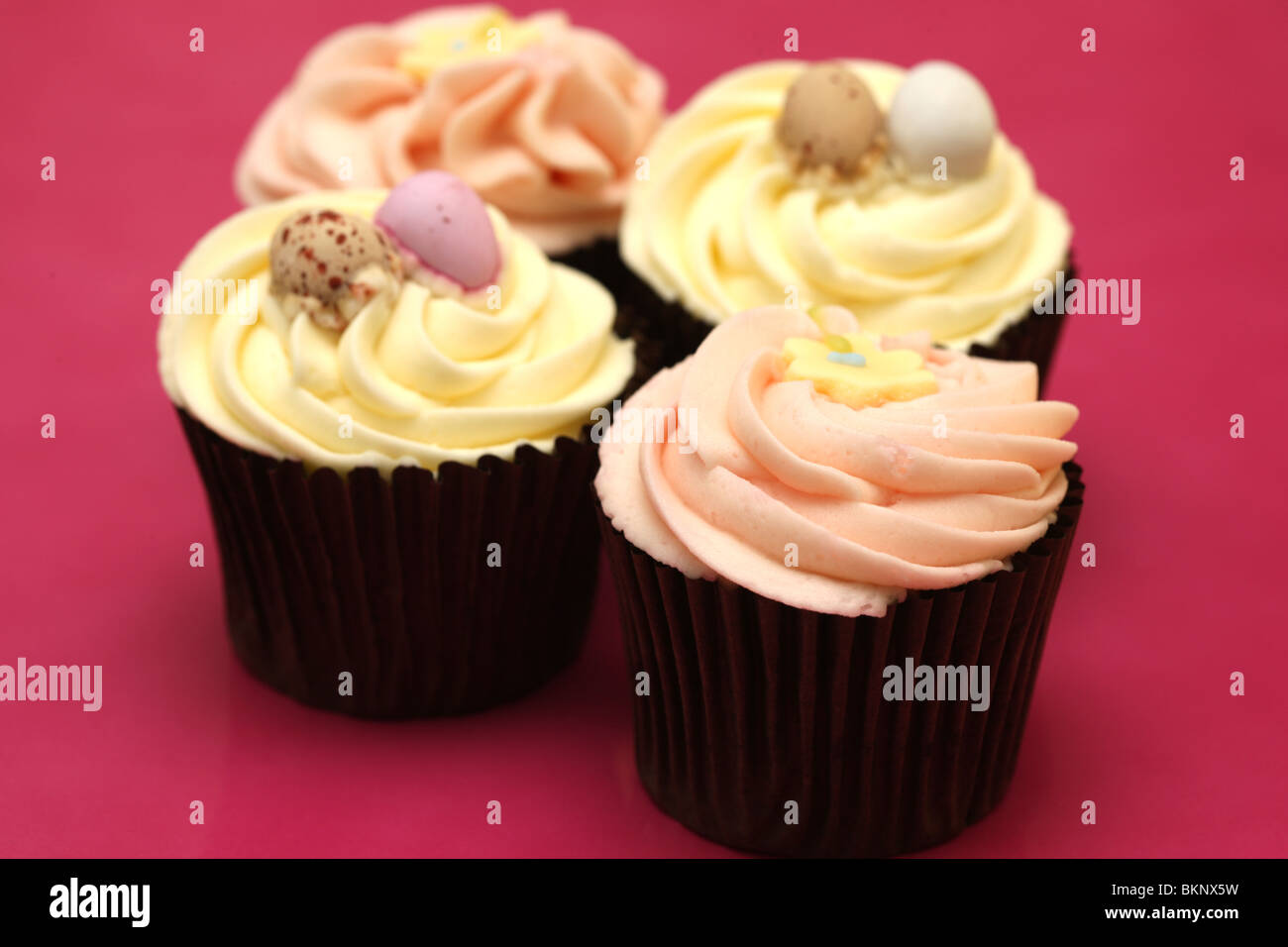 Easter cup cakes Banque D'Images