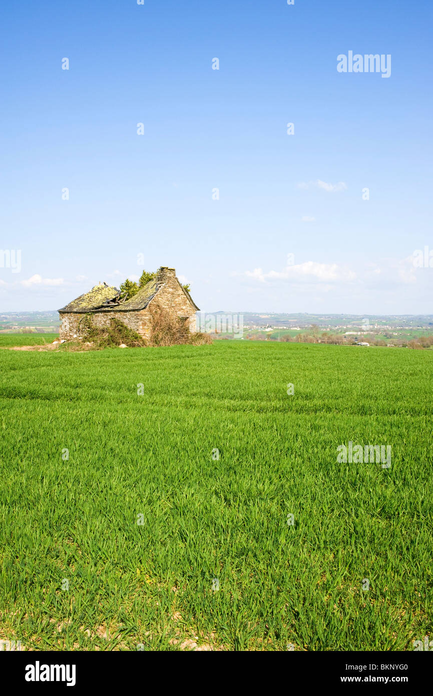 Les champs ouverts avec l'ancienne grange en ruine et Terrain agricole avec les cultures qui poussent près de Pradinas Aveyron Midi-Pyrénées France Banque D'Images