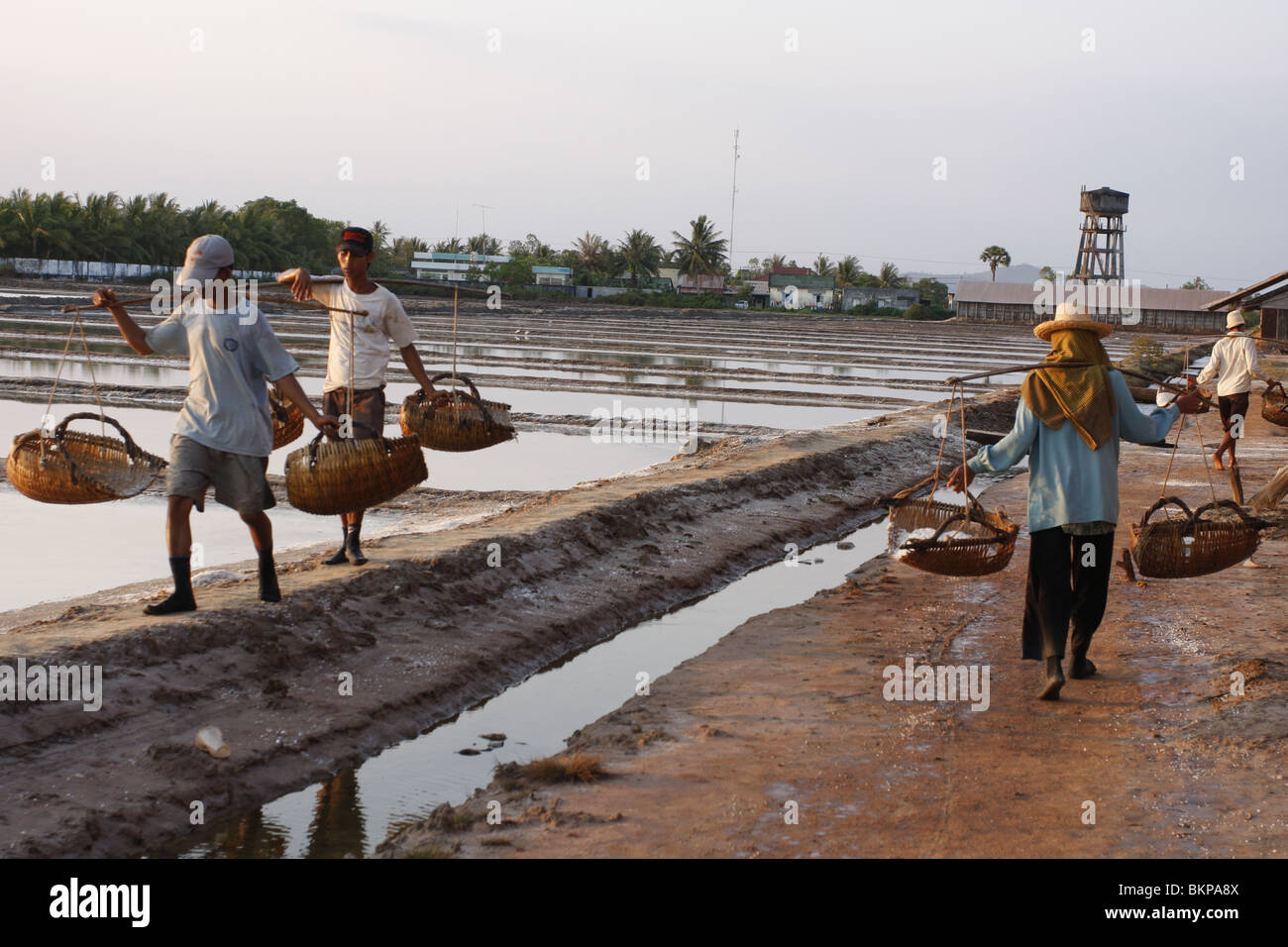 Hommes et femmes travaillent dans les exploitations de sel chaud scorchingly de Kampot, au Cambodge. Banque D'Images
