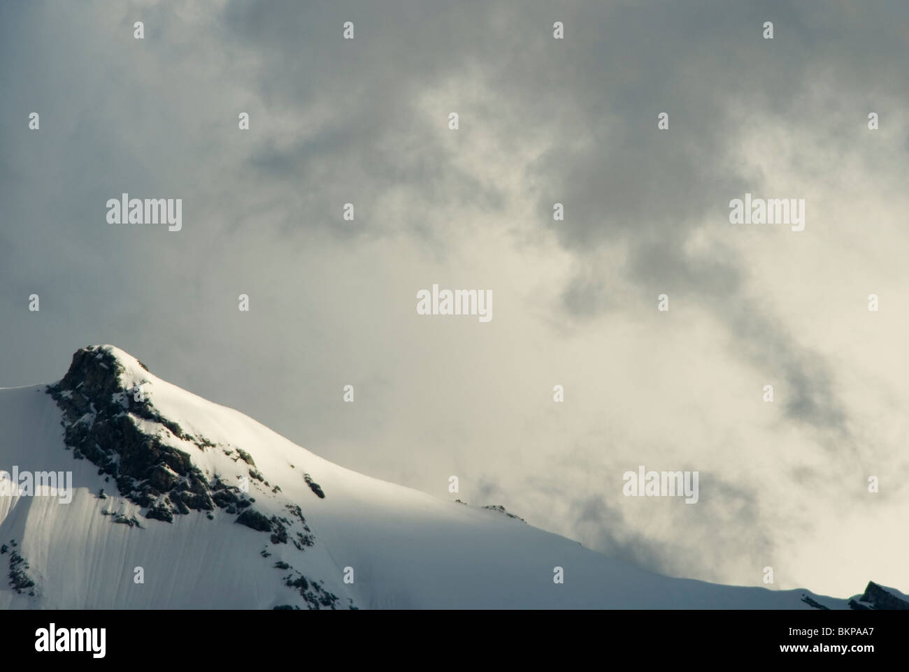 Ortler gletsjer bergen ; névé dans les montagnes Ortler Banque D'Images