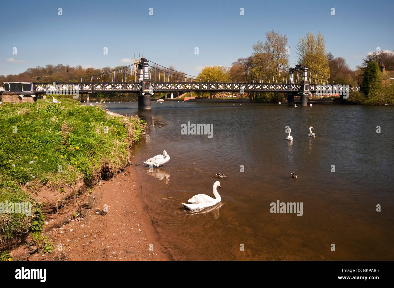 Le bois et le fer, Ferry Pont pied, Burton upon Trent, a été érigée en 1889 et il a remplacé l'Stapenhill Ferry. Banque D'Images