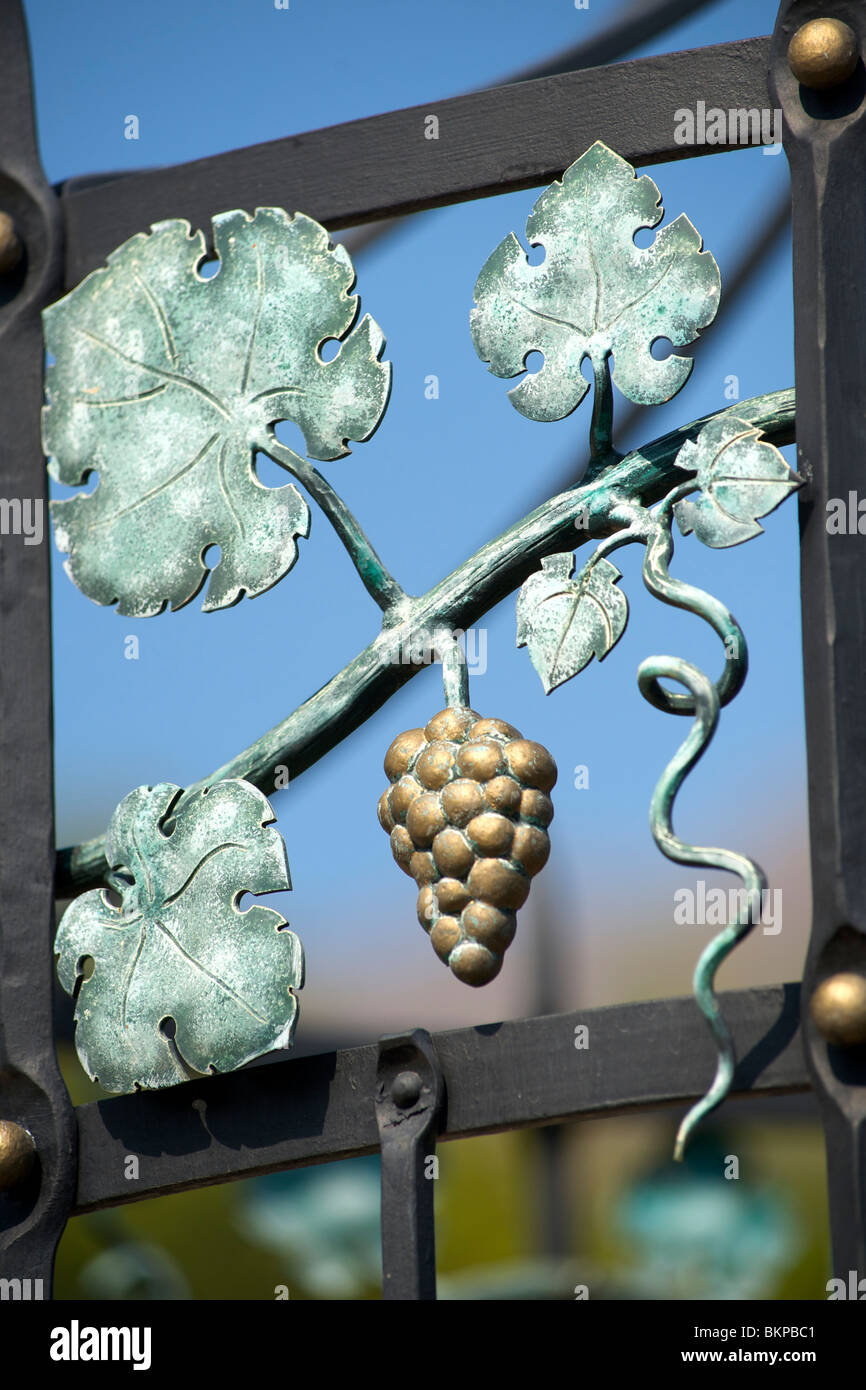 Détail d'une grappe de raisins sur une clôture en Franschhoek. Banque D'Images