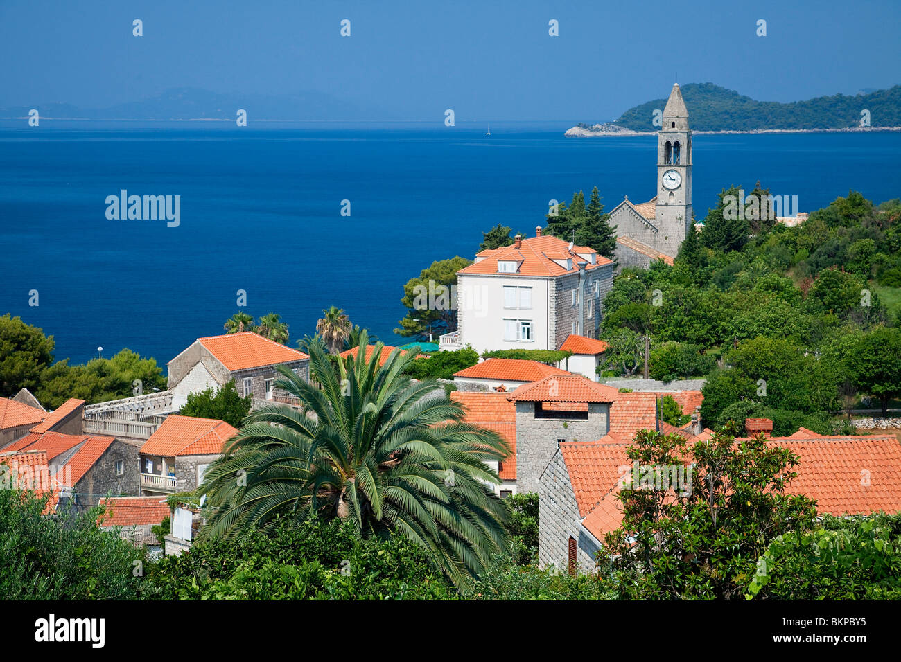 La Croatie, les îles Élaphites, l'île de Lopud Banque D'Images