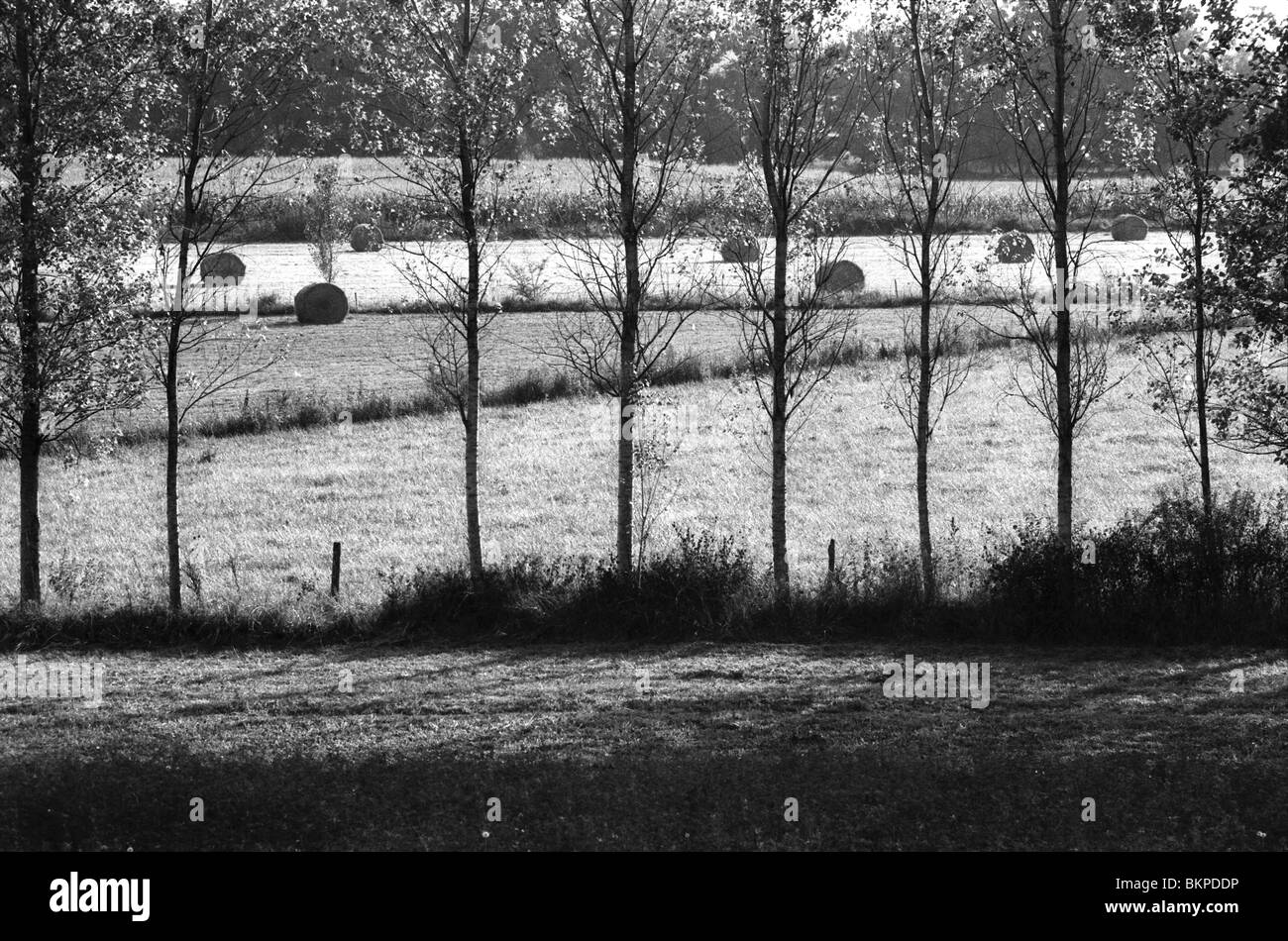 Campagne Près de Villeneuve-sur-Lot en Aquitaine, sud ouest, France. Banque D'Images