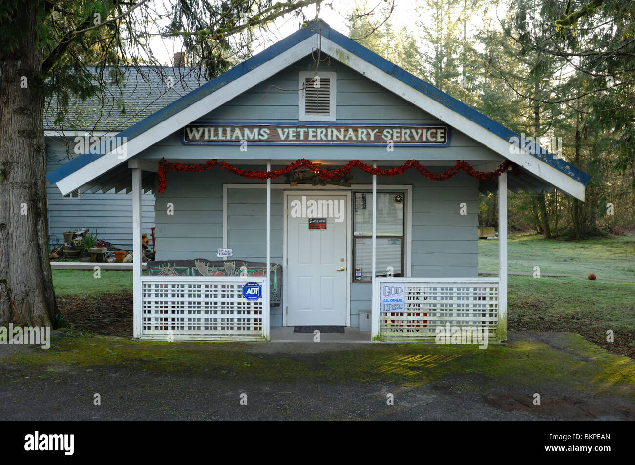 Cabinet vétérinaire à Maple Falls une petite ville dans les cascades sur le mont Baker Highway Whatcom County, Washington, USA Banque D'Images