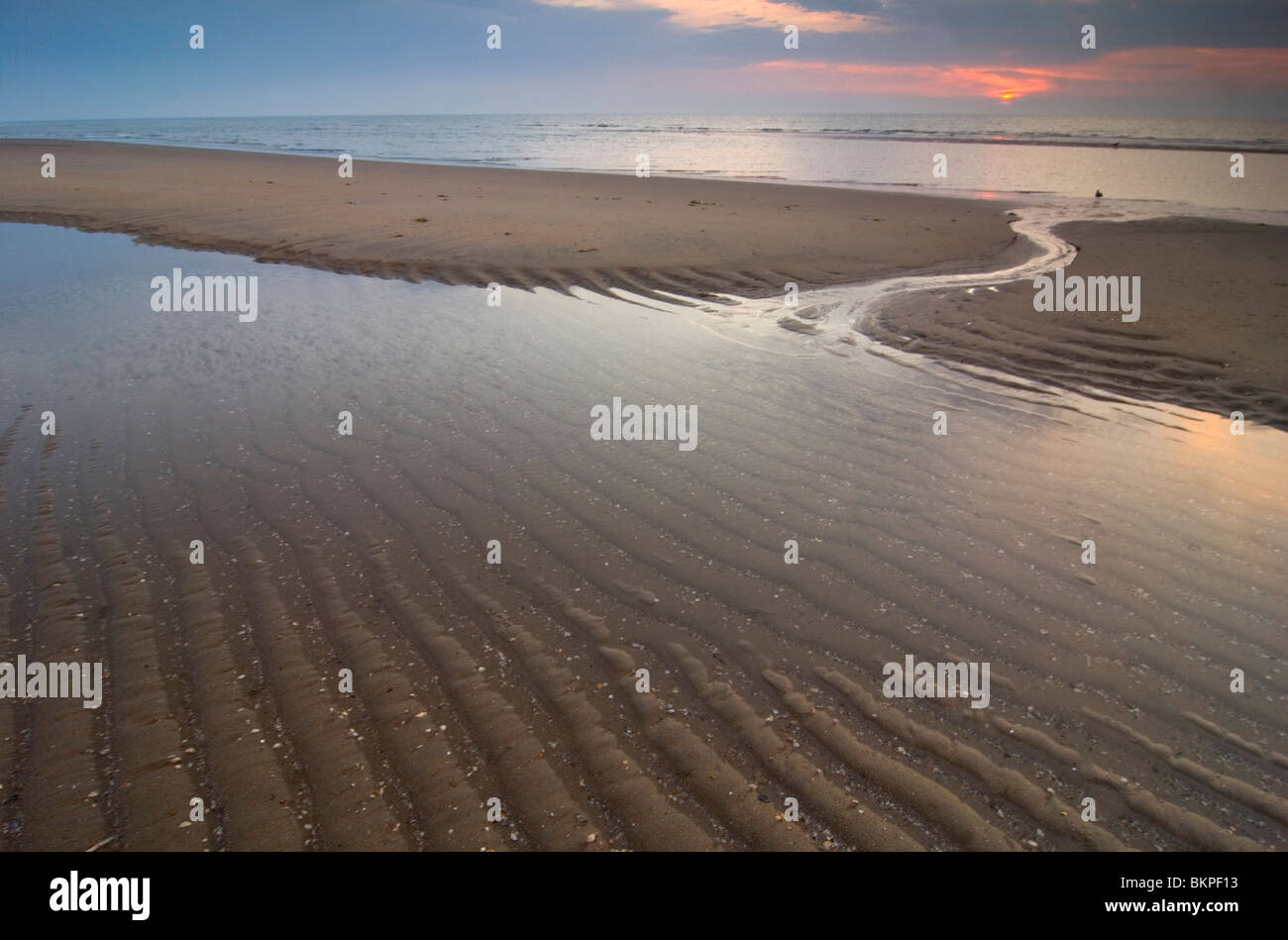 Strand maasvlakte tijdens zonsondergang ; plage à la maasvlakte pendant le coucher du soleil Banque D'Images