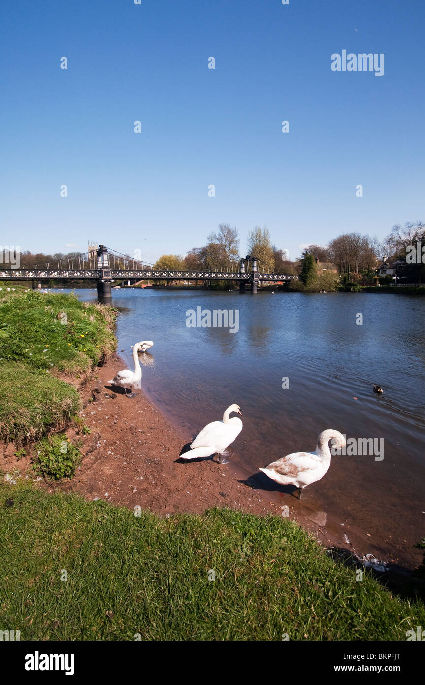 Le bois et le fer, Ferry Pont pied, Burton upon Trent, a été érigée en 1889 et il a remplacé l'Stapenhill Ferry. Banque D'Images