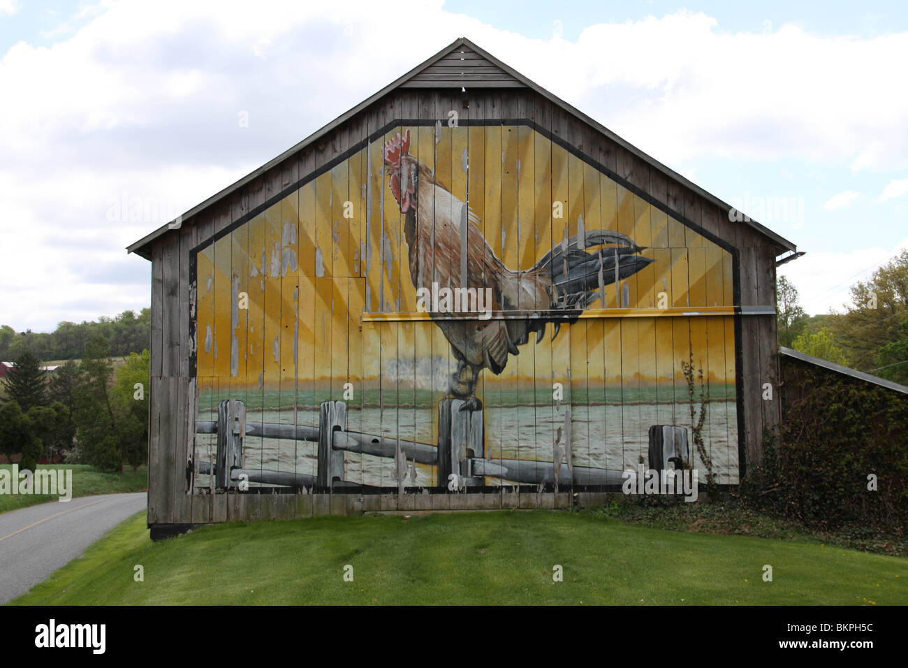 Un grand coq est l'objet de la grange art dans le comté de Lancaster, PA. Banque D'Images