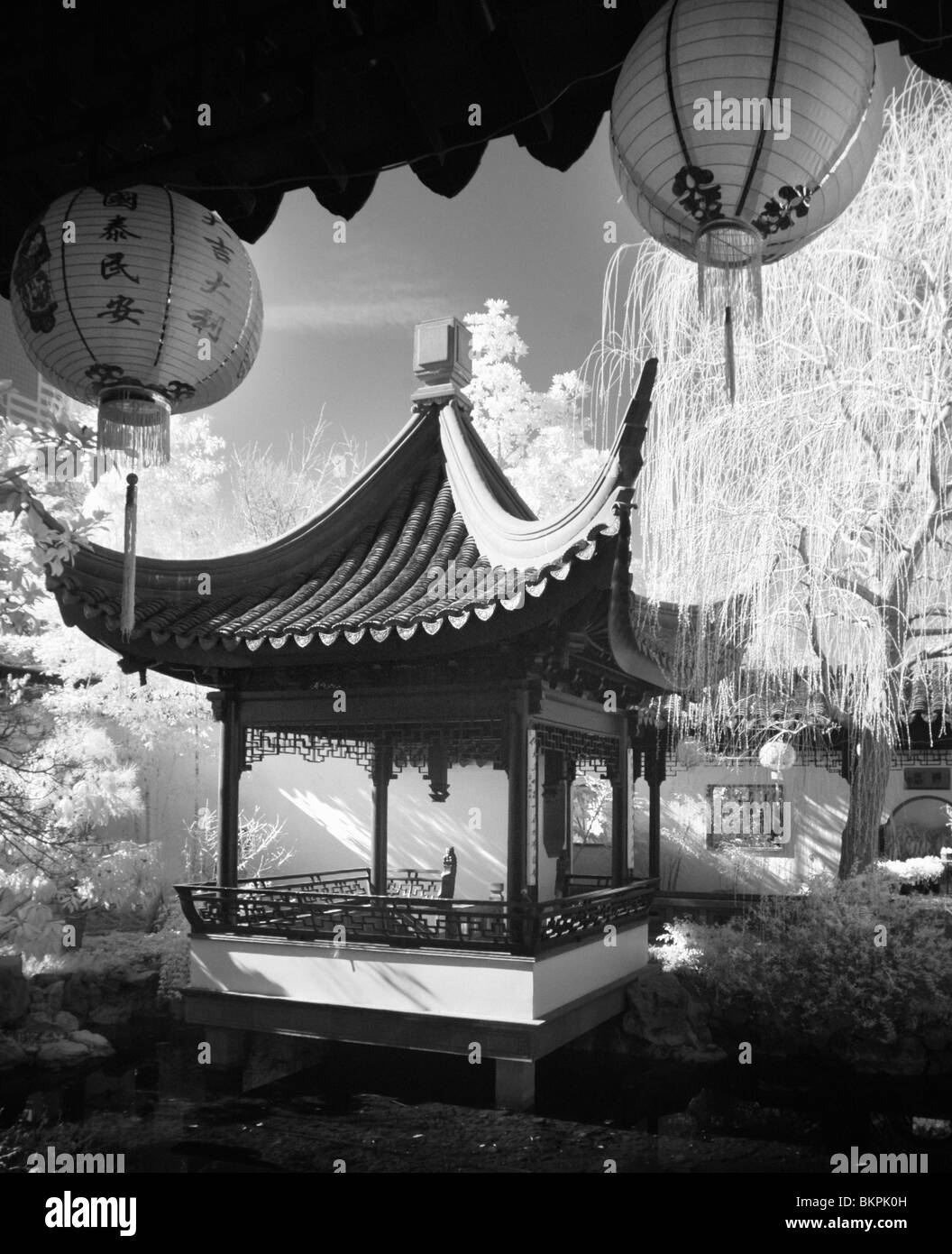 Portland Oregon Jardin Chinois, l'infrarouge noir et blanc Banque D'Images