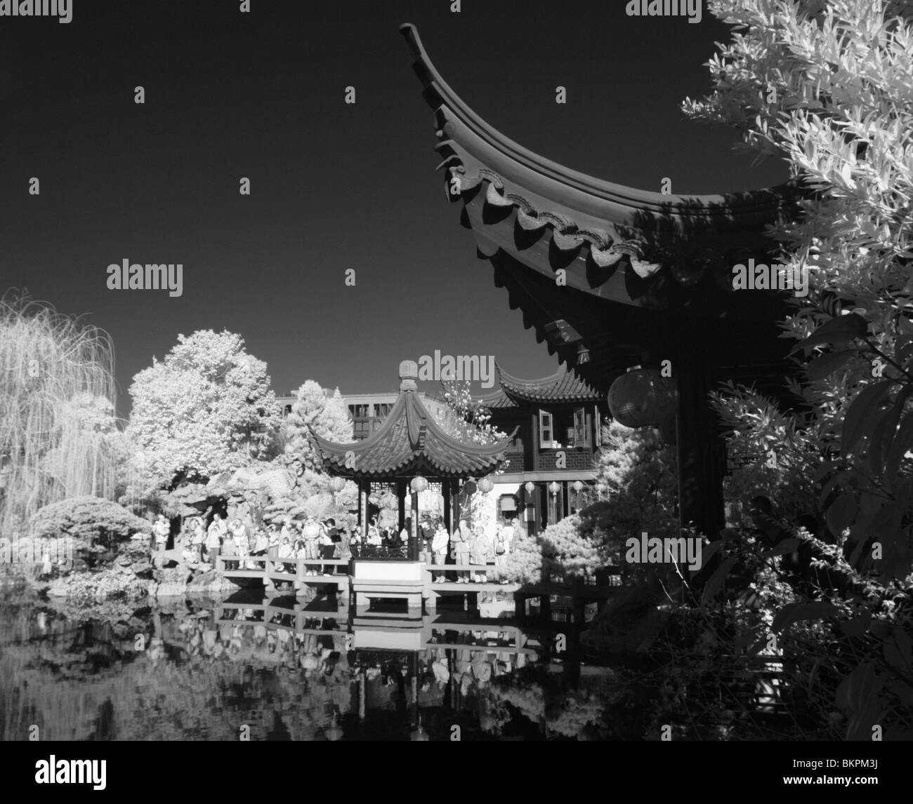 Portland Oregon Jardin Chinois, l'infrarouge noir et blanc Banque D'Images