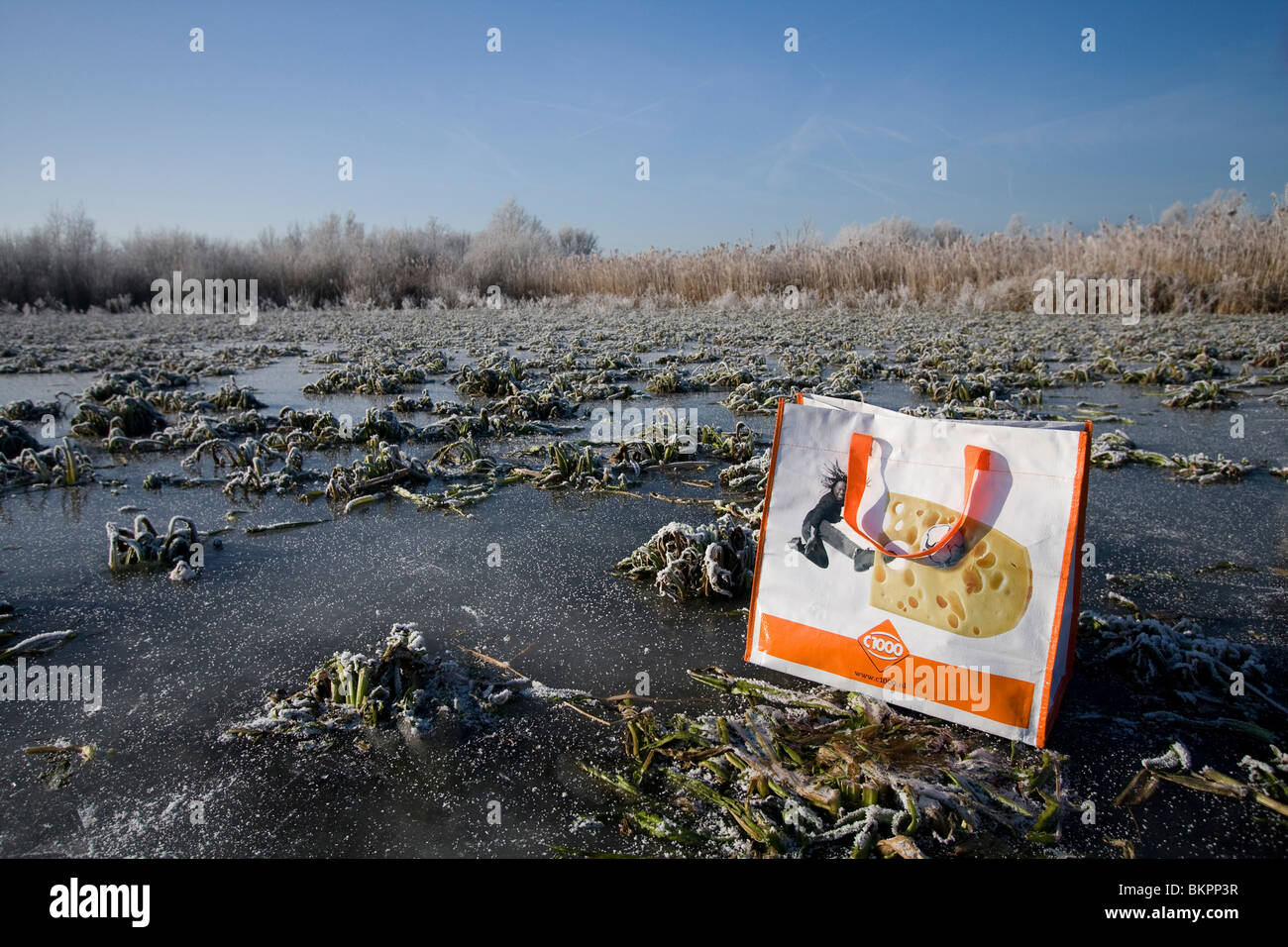 Dans Schaatsers de Oostvaardersplassen Banque D'Images