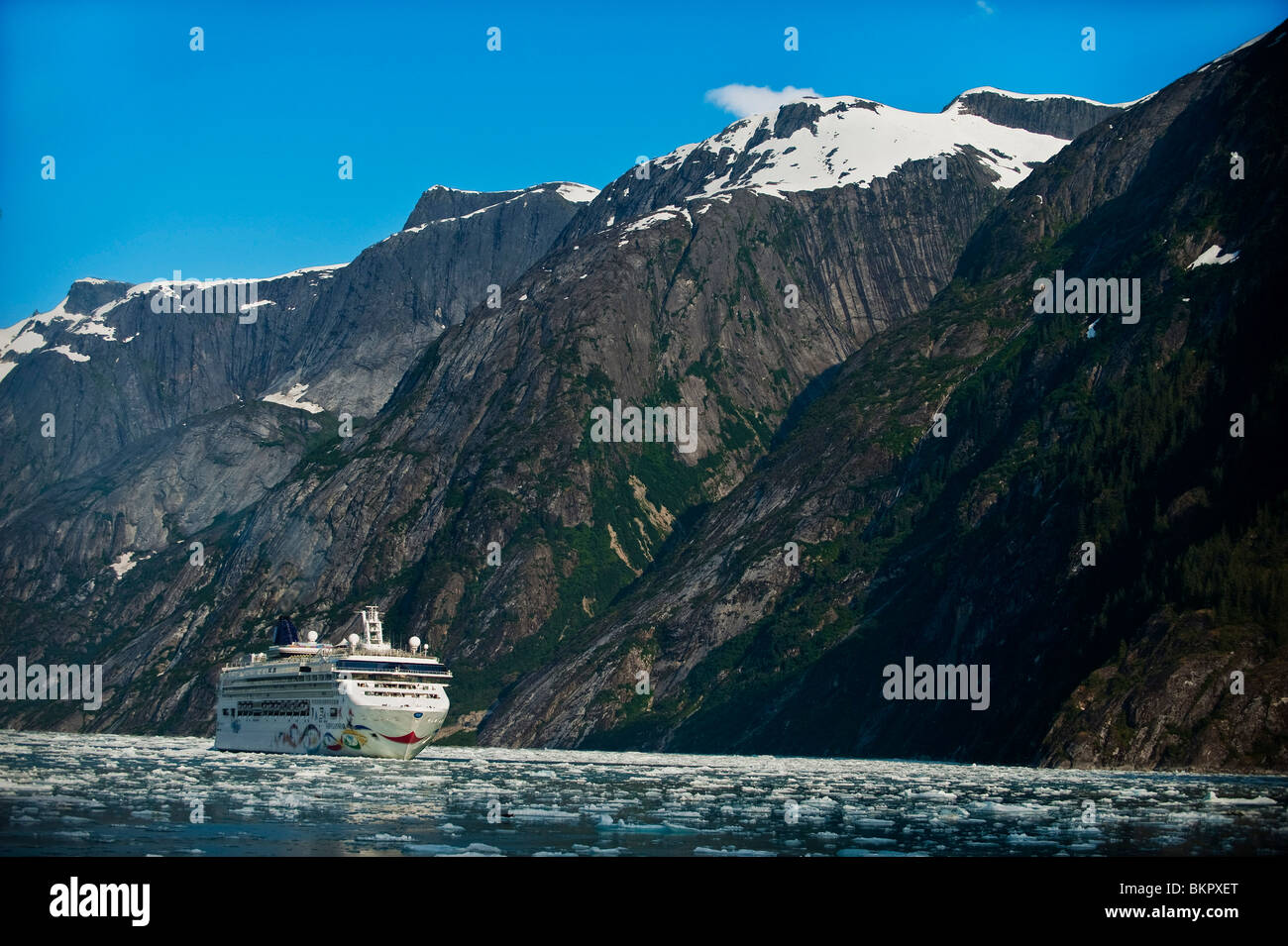 Norwegian Cruise Line's *Star* près de Dawes Glacier dans l'Endicott Arm, Tracy Arm- gués terreur désert, le sud-est de l'Alaska Banque D'Images