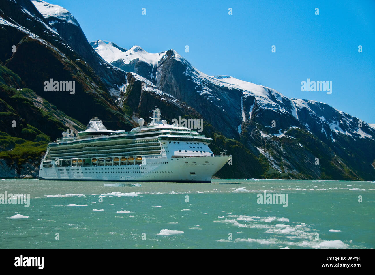 Royal Carribean Cruise ship in Endicott, Tracy Arm Arm-Fords la terreur, le sud-est de l'Alaska Wilderness National Banque D'Images