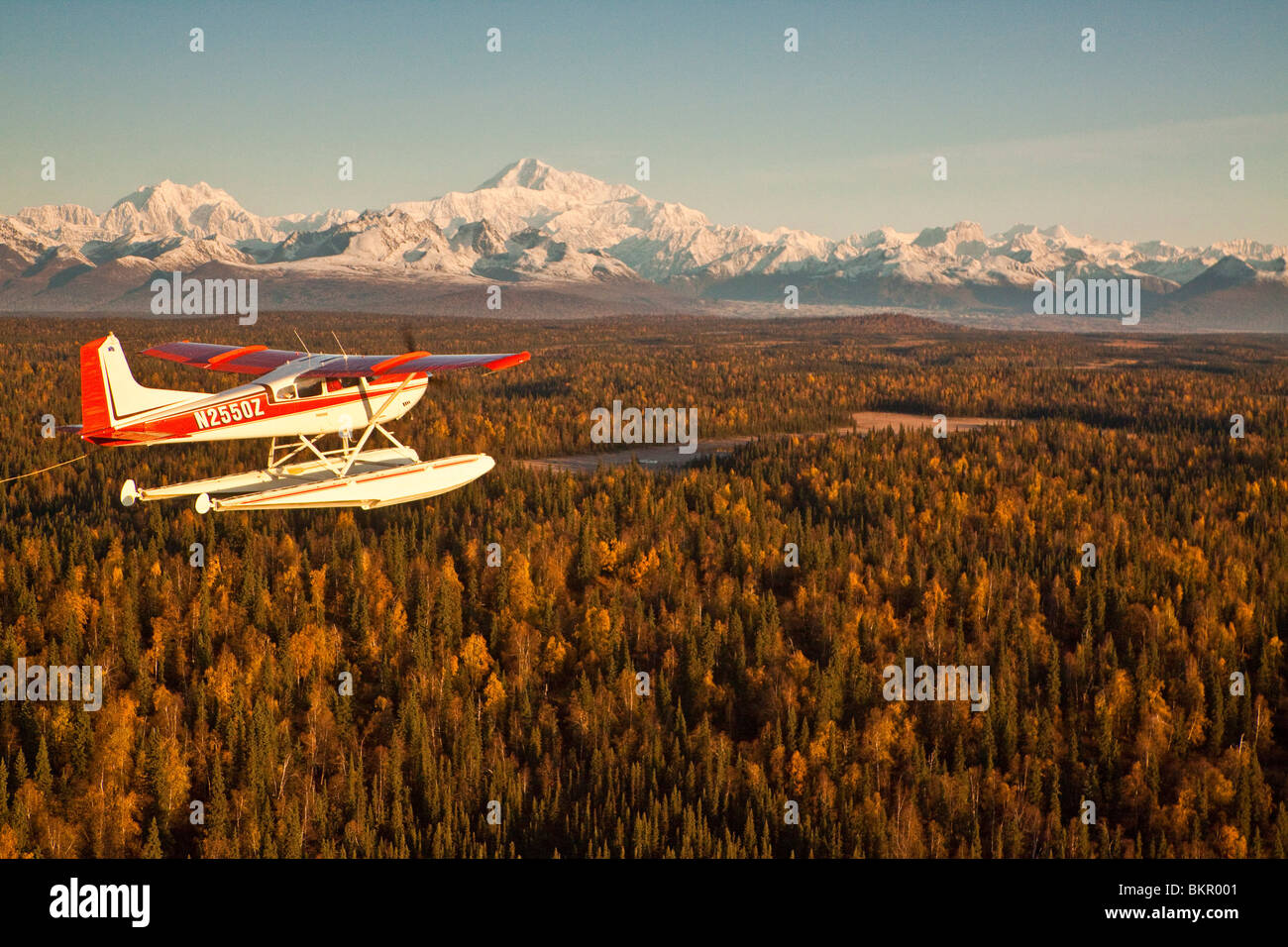 Vue d'un hydravion Cessna 185 en vol avec Mt. McKinley dans l'arrière-plan, Southside, Southcentral Alaska, automne Banque D'Images