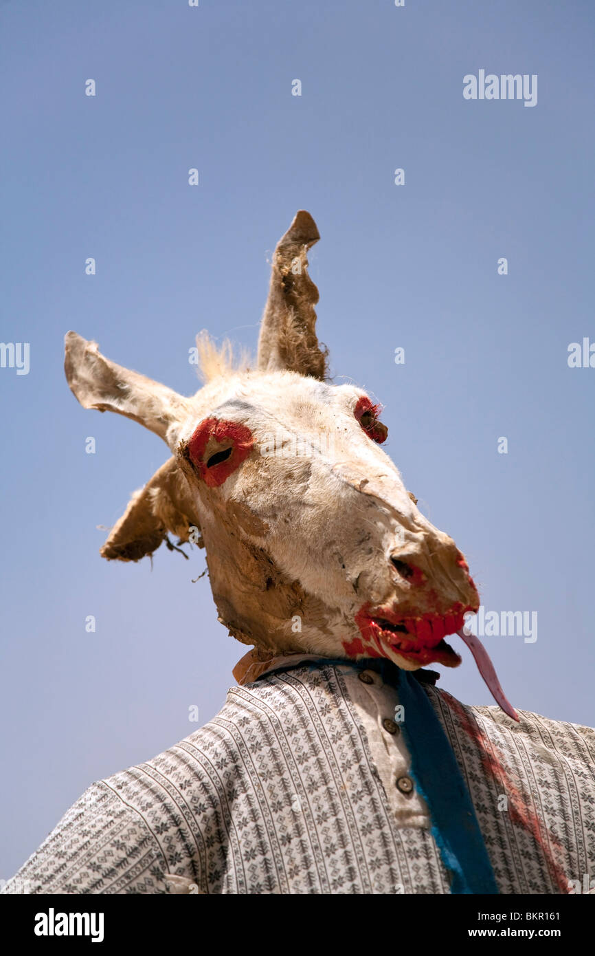 Le Soudan. Macabre un épouvantail fabriqué à partir d'un chef d'âne momifié se dresse sur la route de la sixième du Nil Cateract. Banque D'Images