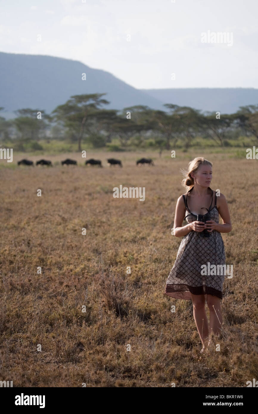 La Tanzanie, Serengeti. Une migration des gnous montres touristiques. (MR) Banque D'Images