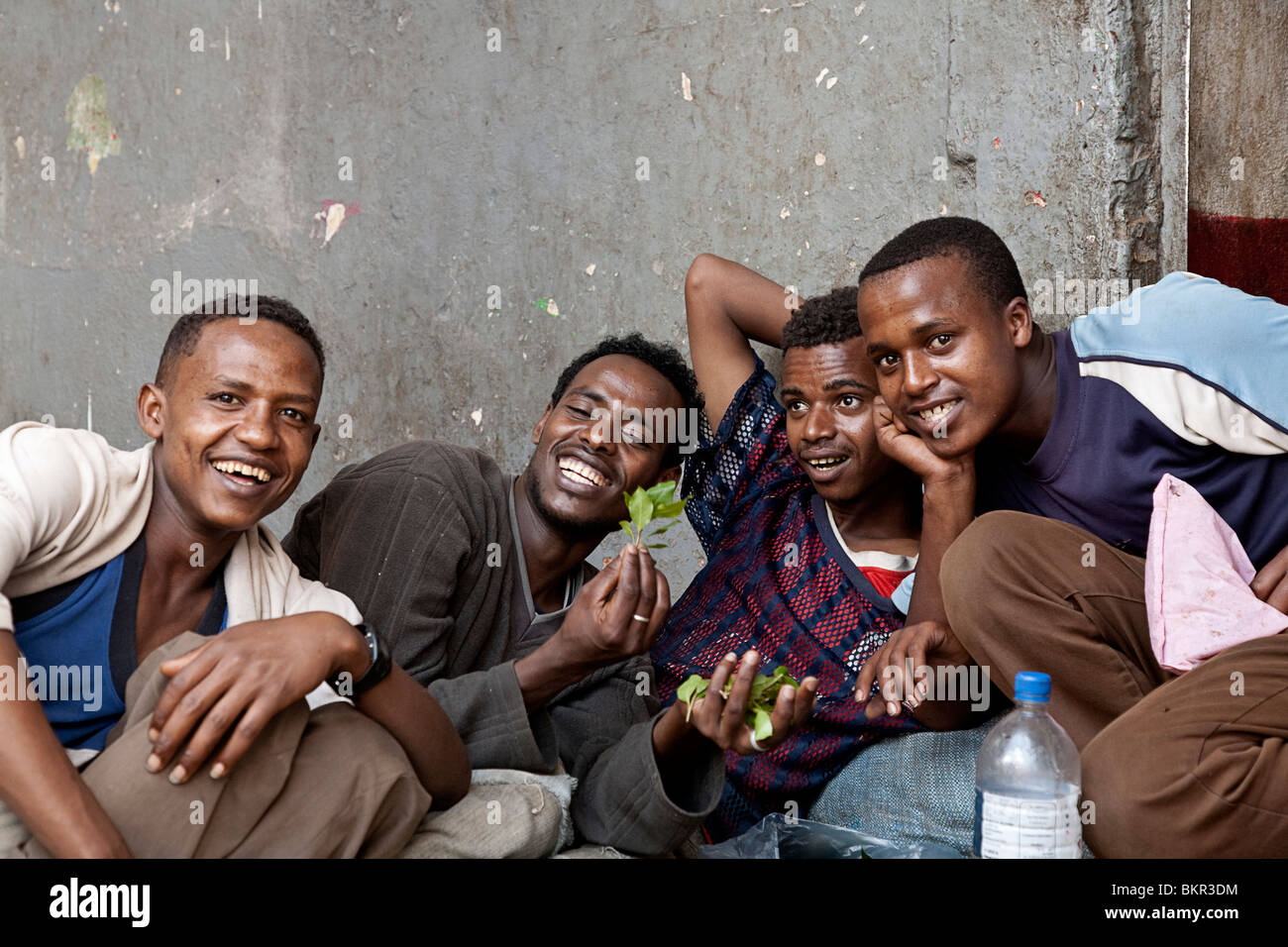 L'Éthiopie, l'Harar. Un groupe de jeunes hommes appréciant les effets de stimulant local Chat. Banque D'Images