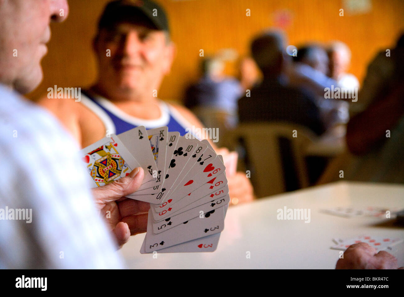 L'Italie du Sud, Sicile, Pozzallo. Hommes retraités tuer le temps par des cartes à jouer dans un club. Banque D'Images