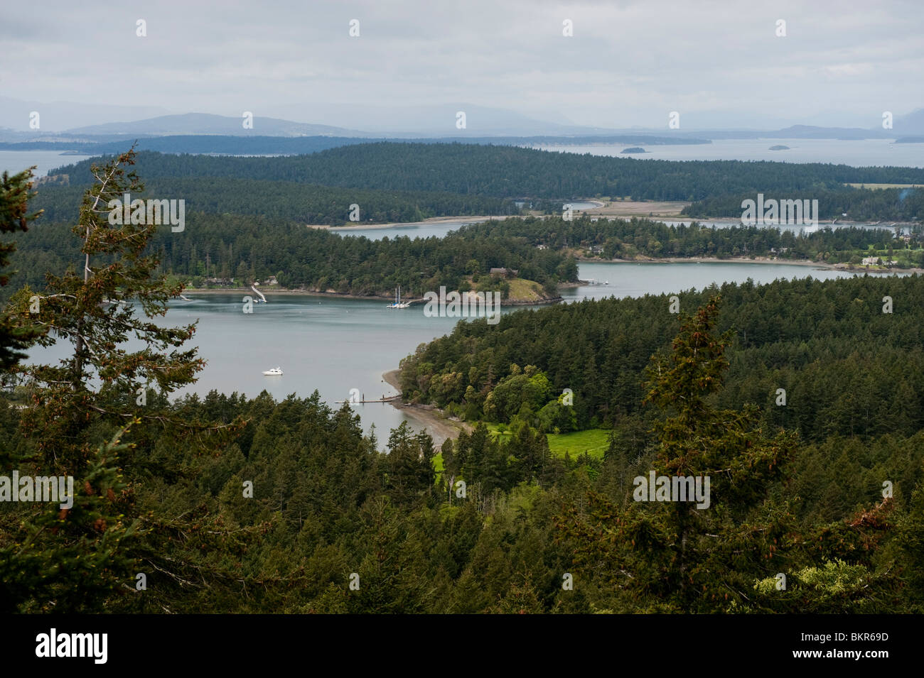 Les jeunes Hill, San Juan Island, Washington State, USA. Les jeunes Hill est le plus haut point d'accès public à l'île San Juan avec vue. Banque D'Images