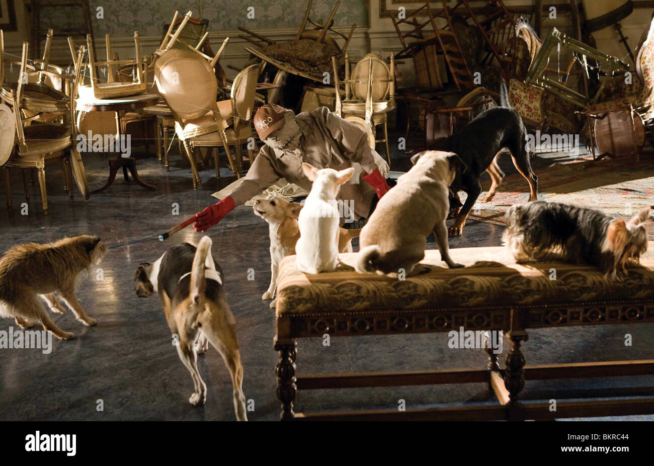 HOTEL FOR DOGS (2009) Thor Freudenthal (DIR) 005 Banque D'Images