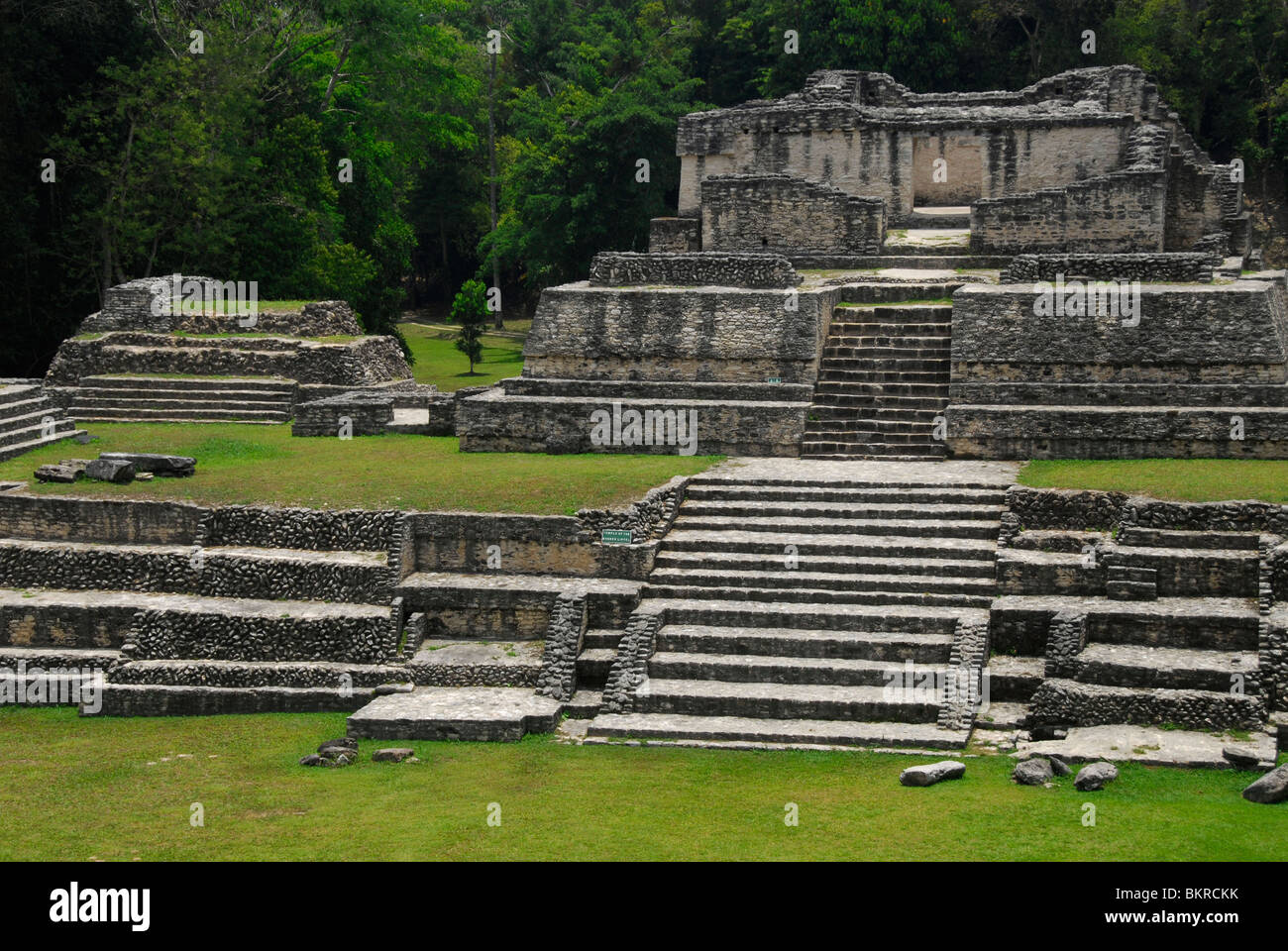 Ruines mayas Caracol, Montagnes, Cayo District, Belize, Amérique Centrale Banque D'Images