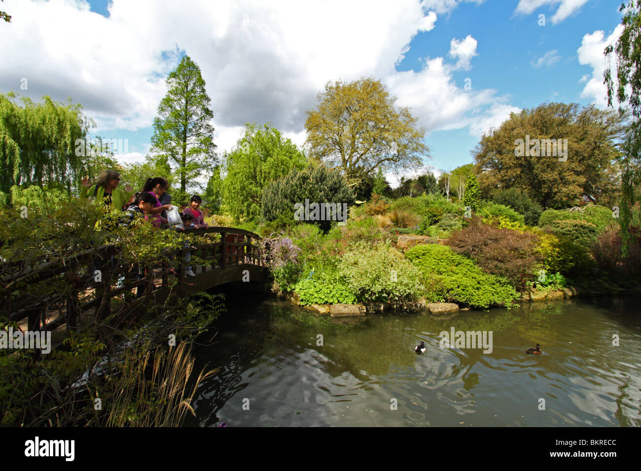 Regents Park, Londres, Royaume-Uni Banque D'Images