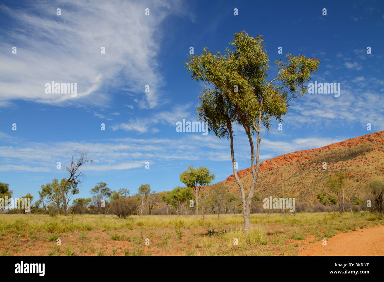 Le bleu ciel de l'Ouest MacDonnell range près d'Alice Springs, Alice Springs Banque D'Images