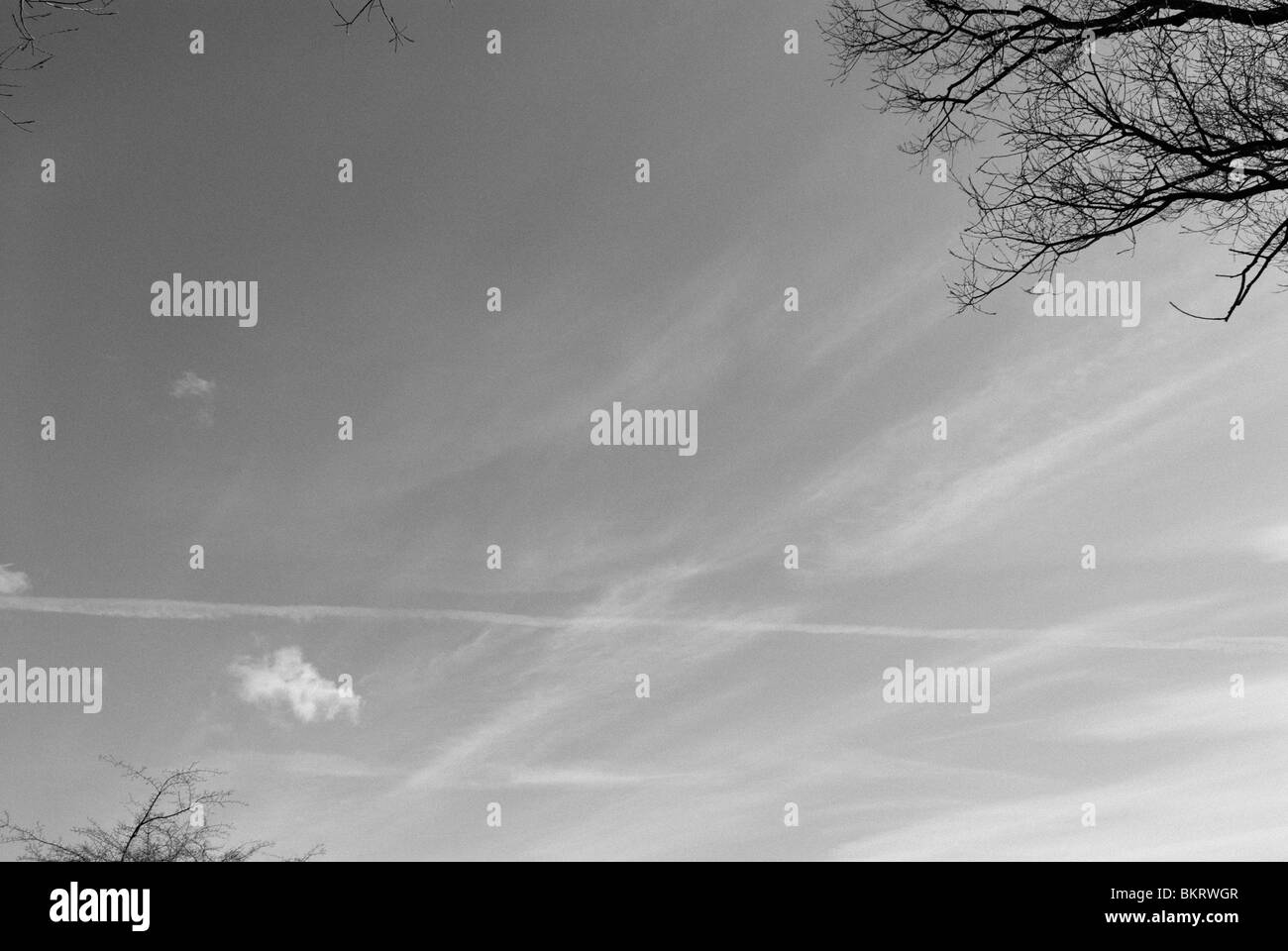 FOND DE CIEL Banque D'Images