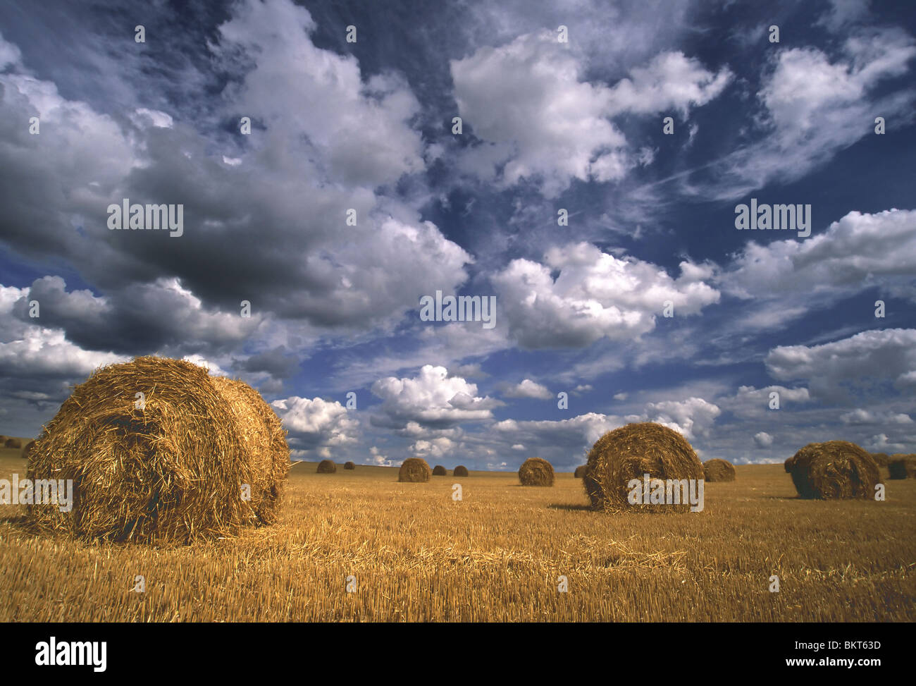 Hooibalen, Noord-Frankrijk Hay, le nord de la France Banque D'Images