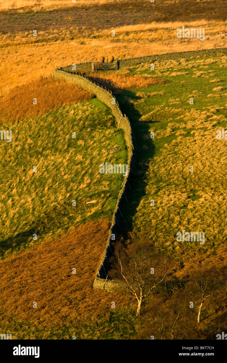 Lumière du soir sur un mur de pierres sèches, la Vallée de Derwent, Peak District, Derbyshire, Angleterre, RU Banque D'Images
