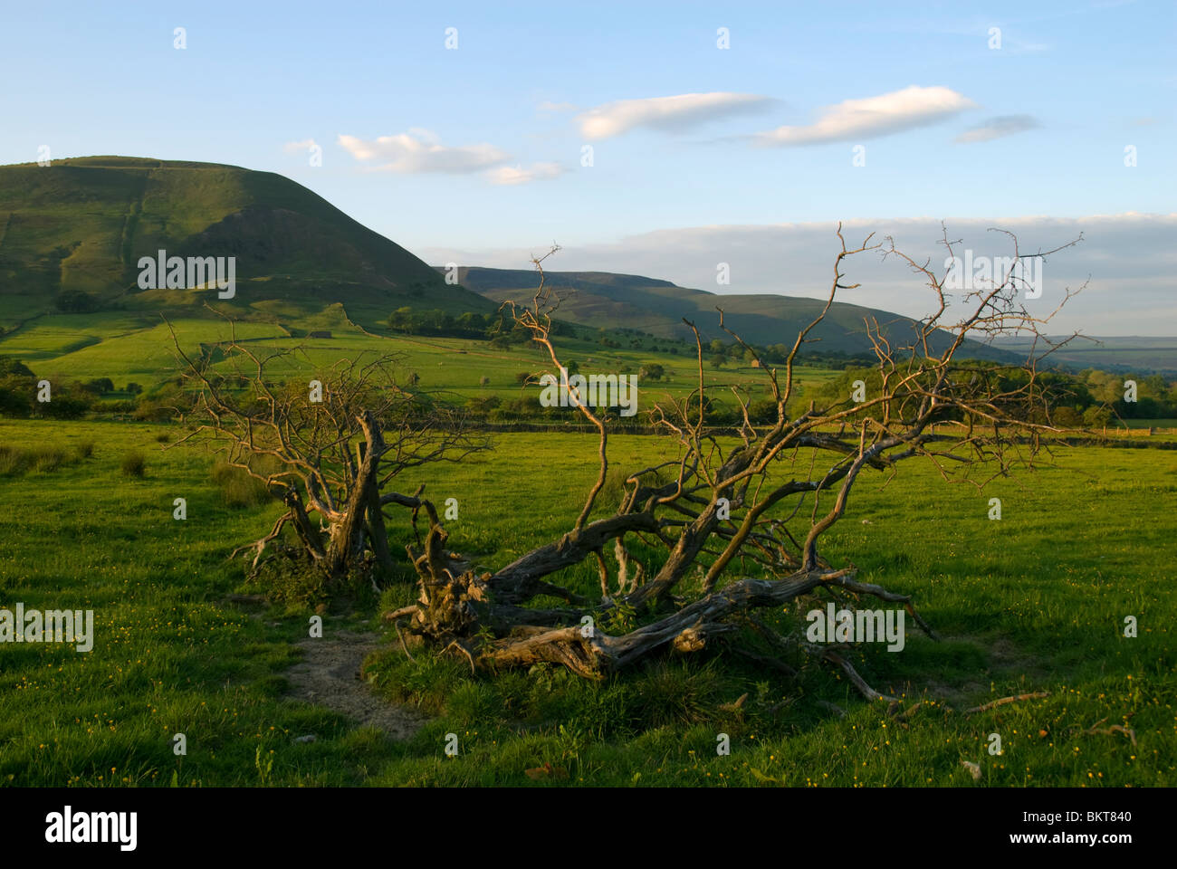 Lumière du soir à Edale, Peak District, Derbyshire, Angleterre, RU Banque D'Images
