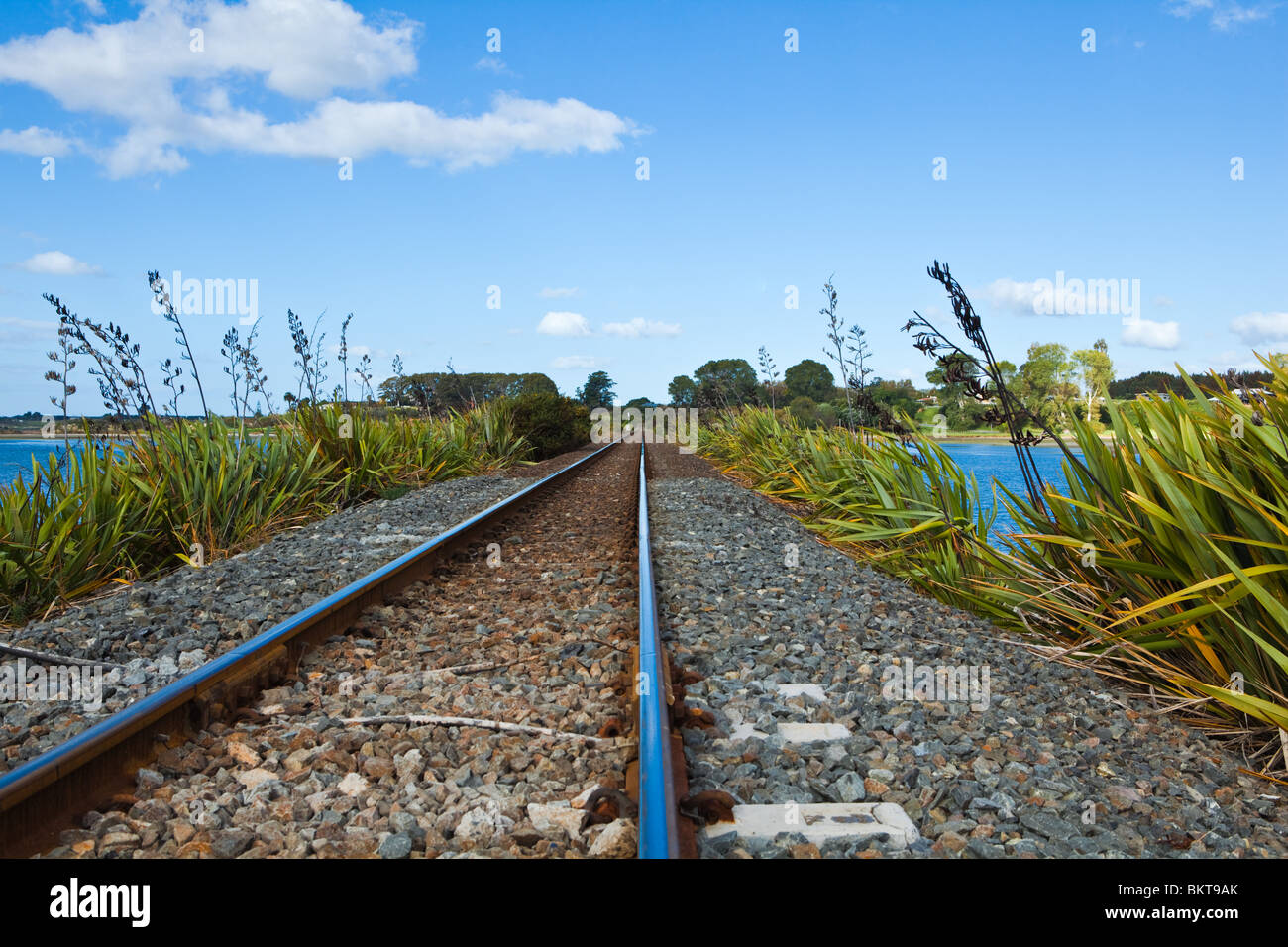 Culture du lin de Nouvelle-Zélande aux côtés d'une ligne de chemin de fer Banque D'Images