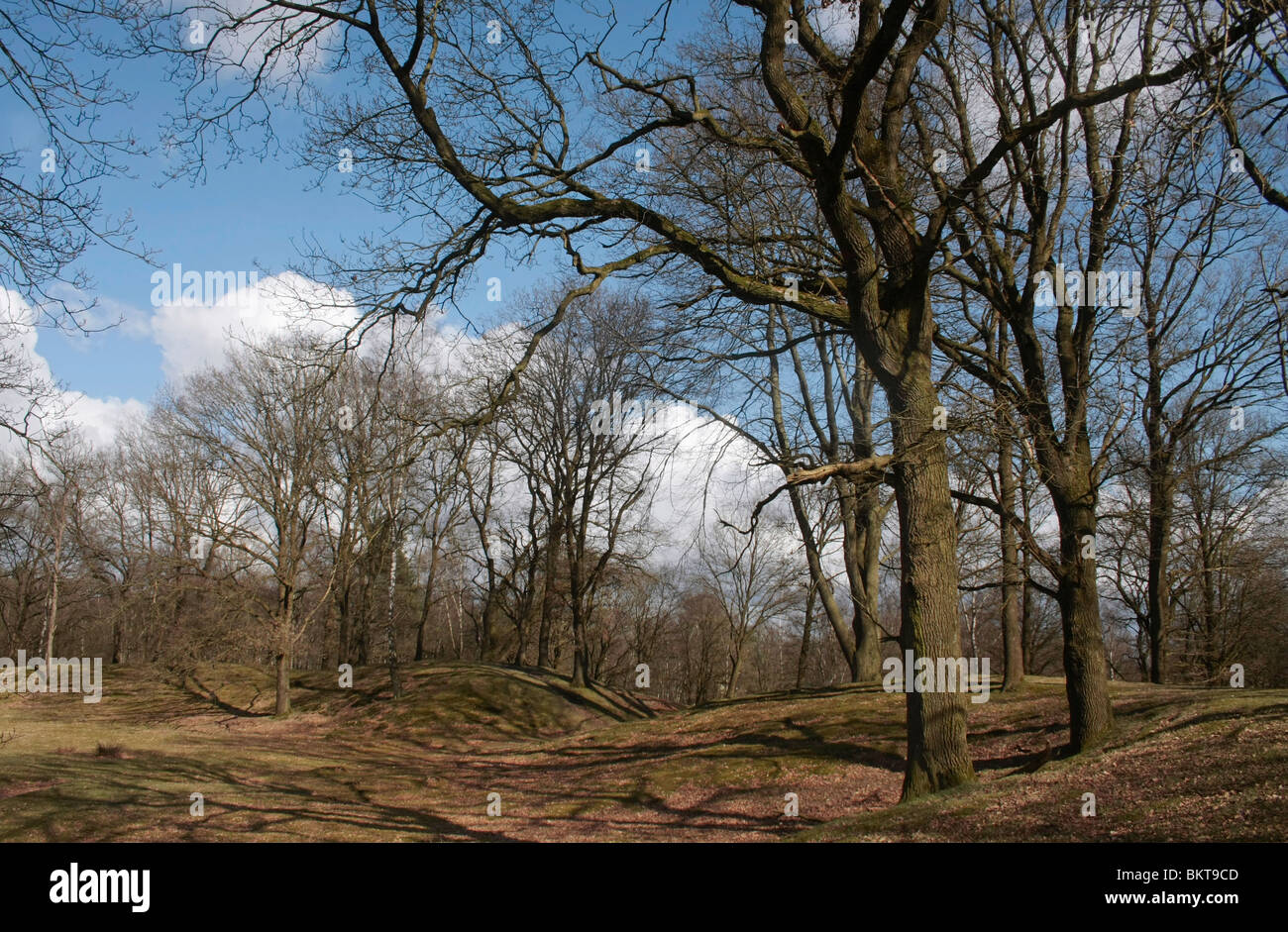 De ringwal Hunneschans, gebouwd van de uit heideplaggen omstreeks na 900 Chr. Dans de vroege Middeleeuwen werd ijzererts gewonnen. Dit is over de Veluwe vervoerd werd. De Schans bewaakte de routes. De la préhistoire en woonden hier al mensen. Uit die periode dat Banque D'Images