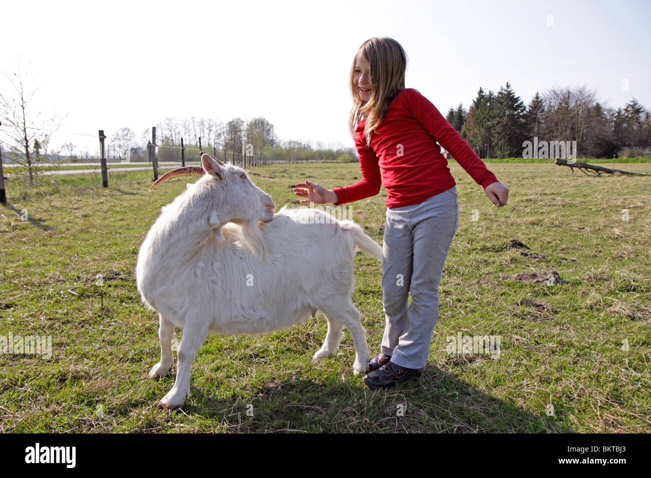 Jeune fille se caresser une chèvre Banque D'Images