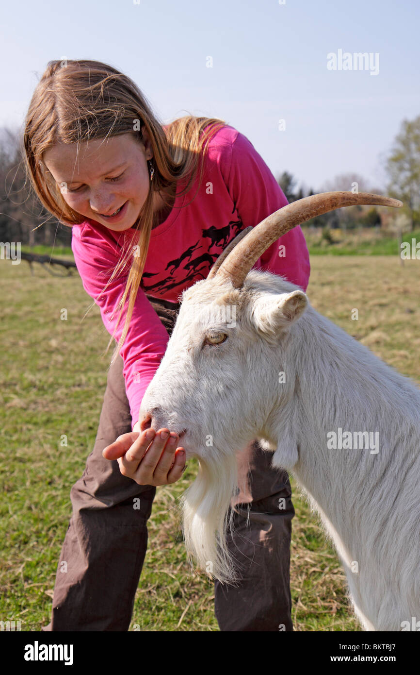 Jeune fille une chèvre d'alimentation Banque D'Images