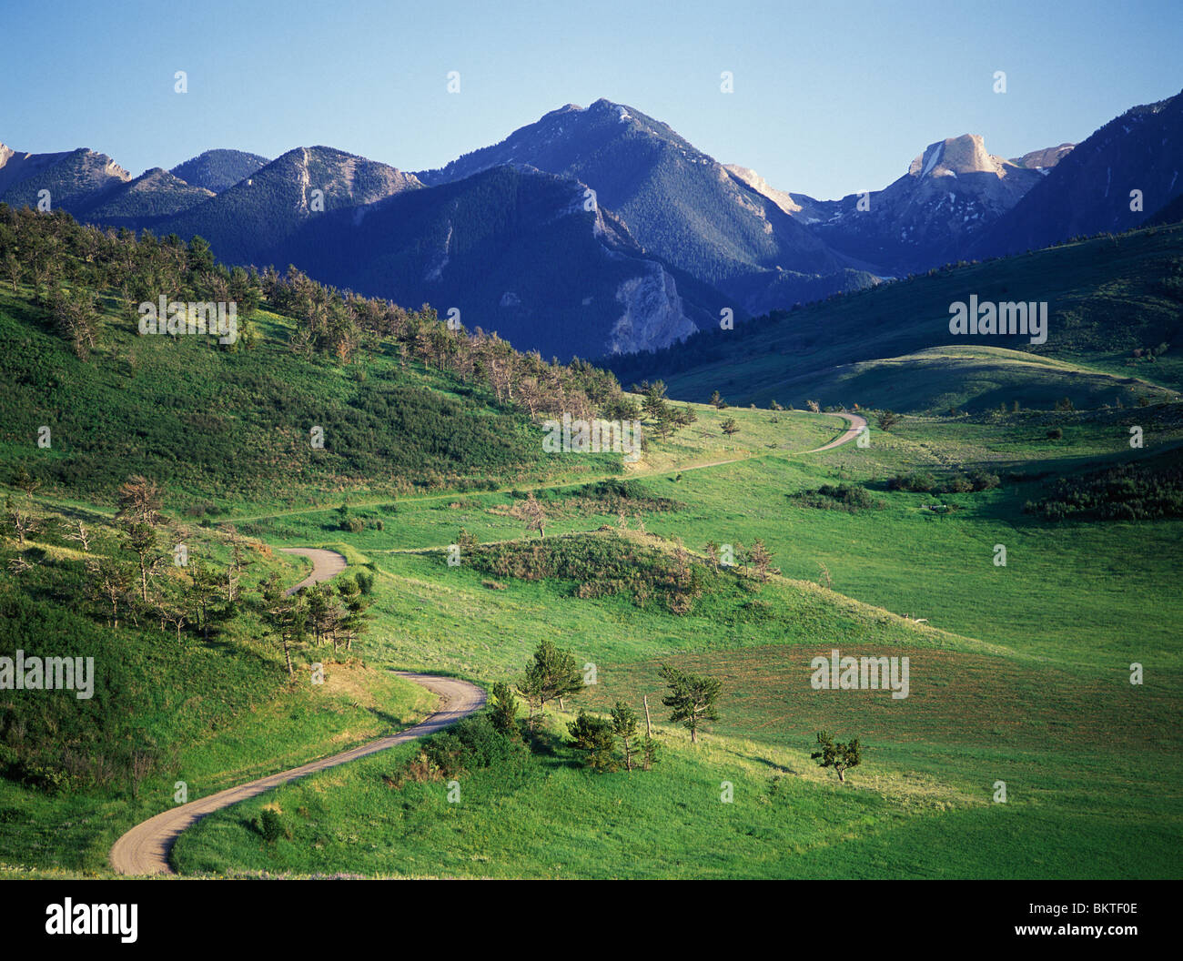 Gravier sinueuse route de montagne vert boucle sur les contreforts des montagnes Absaroka, été, comté de Park, Montana, USA. Banque D'Images