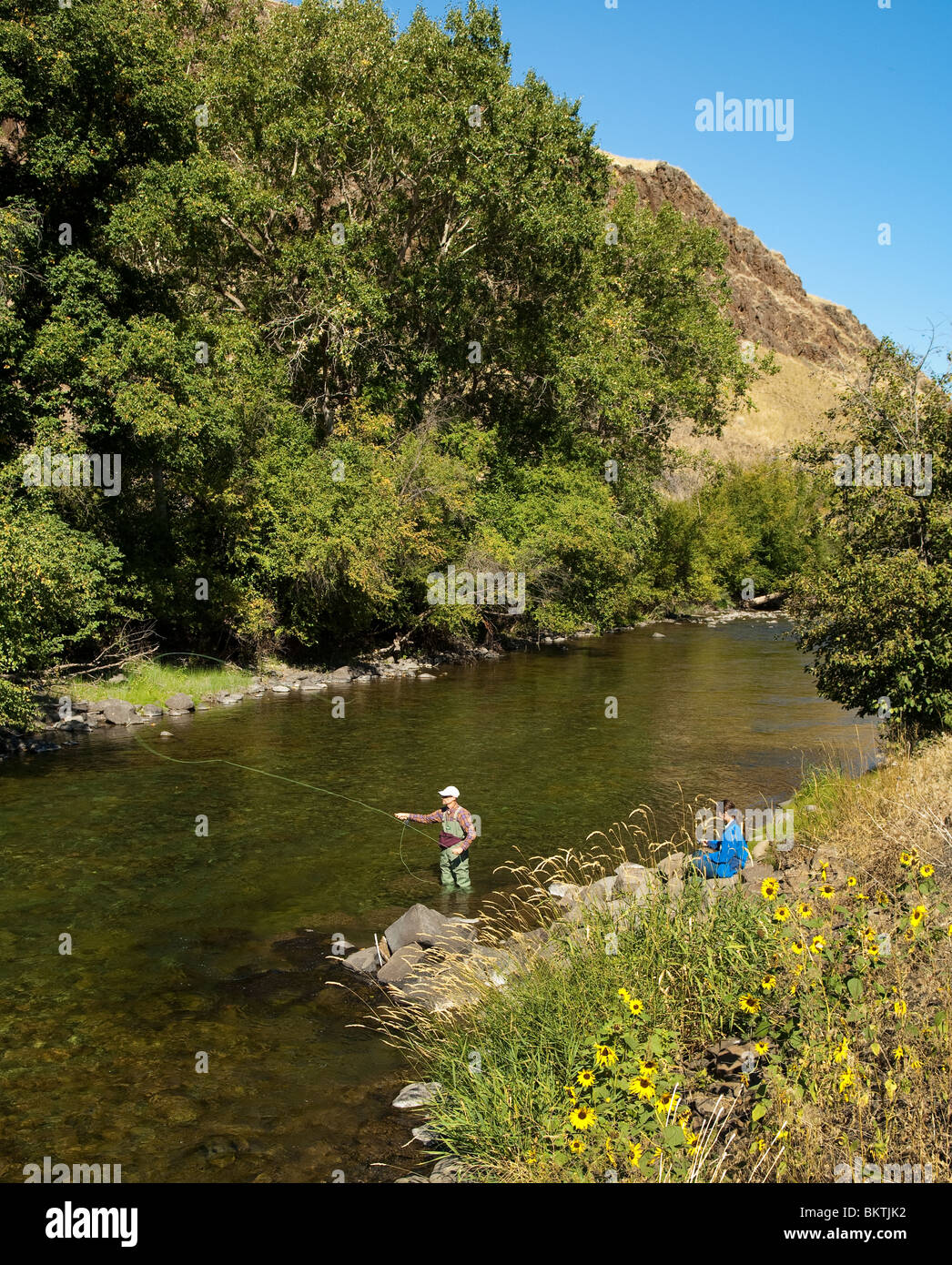 La pêche à la mouche sur la rivière Imnaha ; Wallowa County, au nord-est de l'Oregon. Banque D'Images
