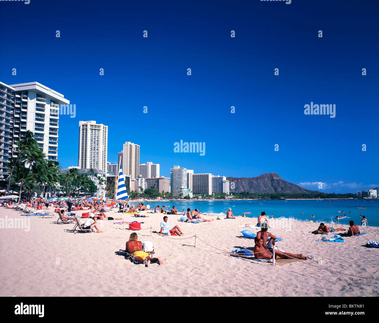 La plage de Waikiki Hawaii tropical palm tree Banque D'Images