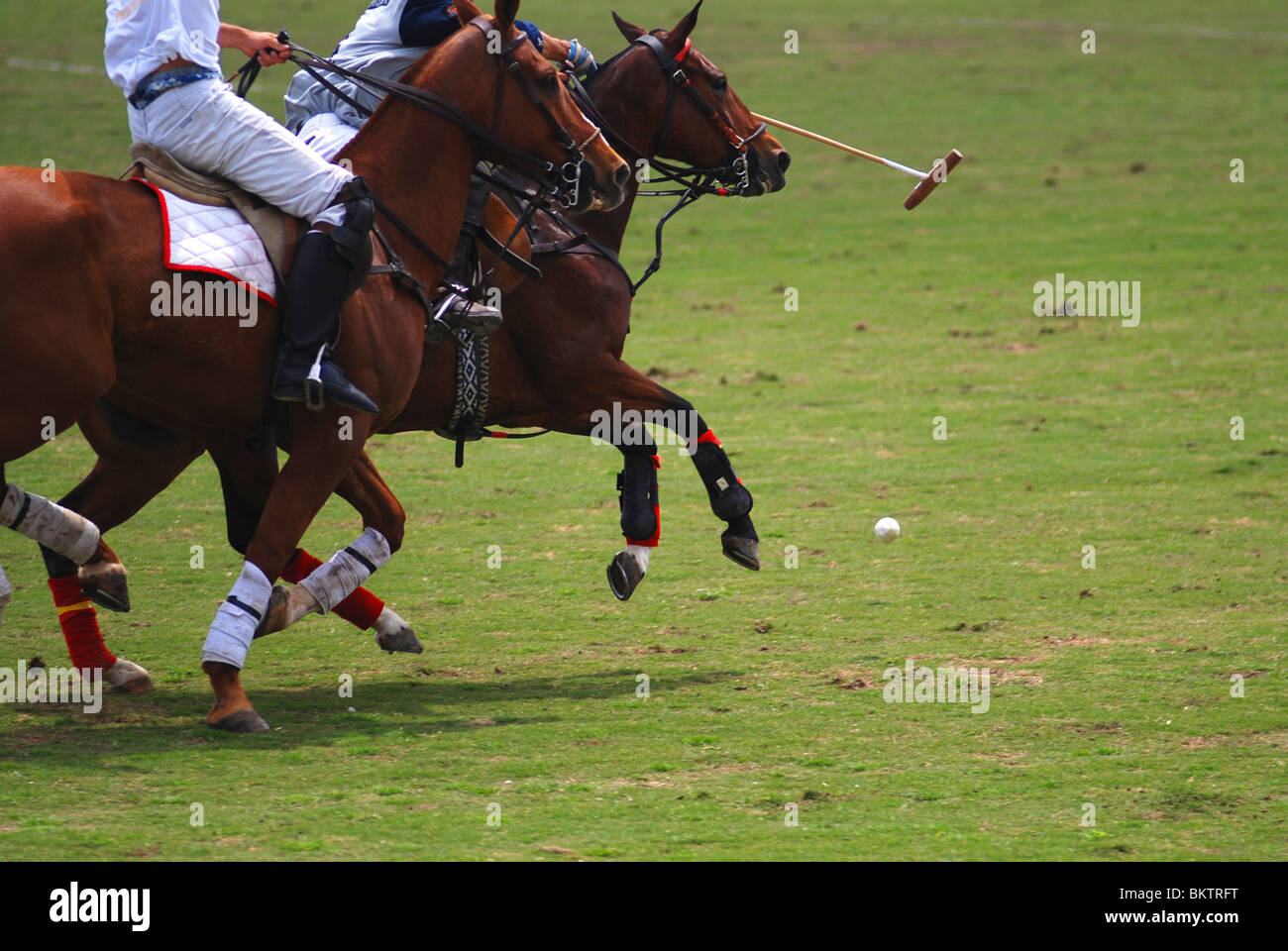 Polo concours jeu Banque D'Images