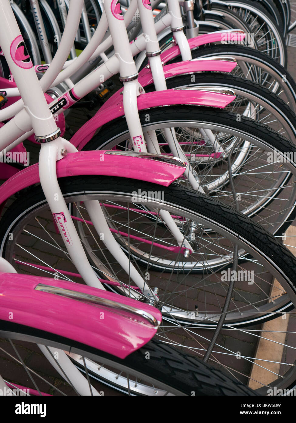 Rangée de nouveaux vélos à l'extérieur de l'atelier à Delft aux Pays-Bas Banque D'Images