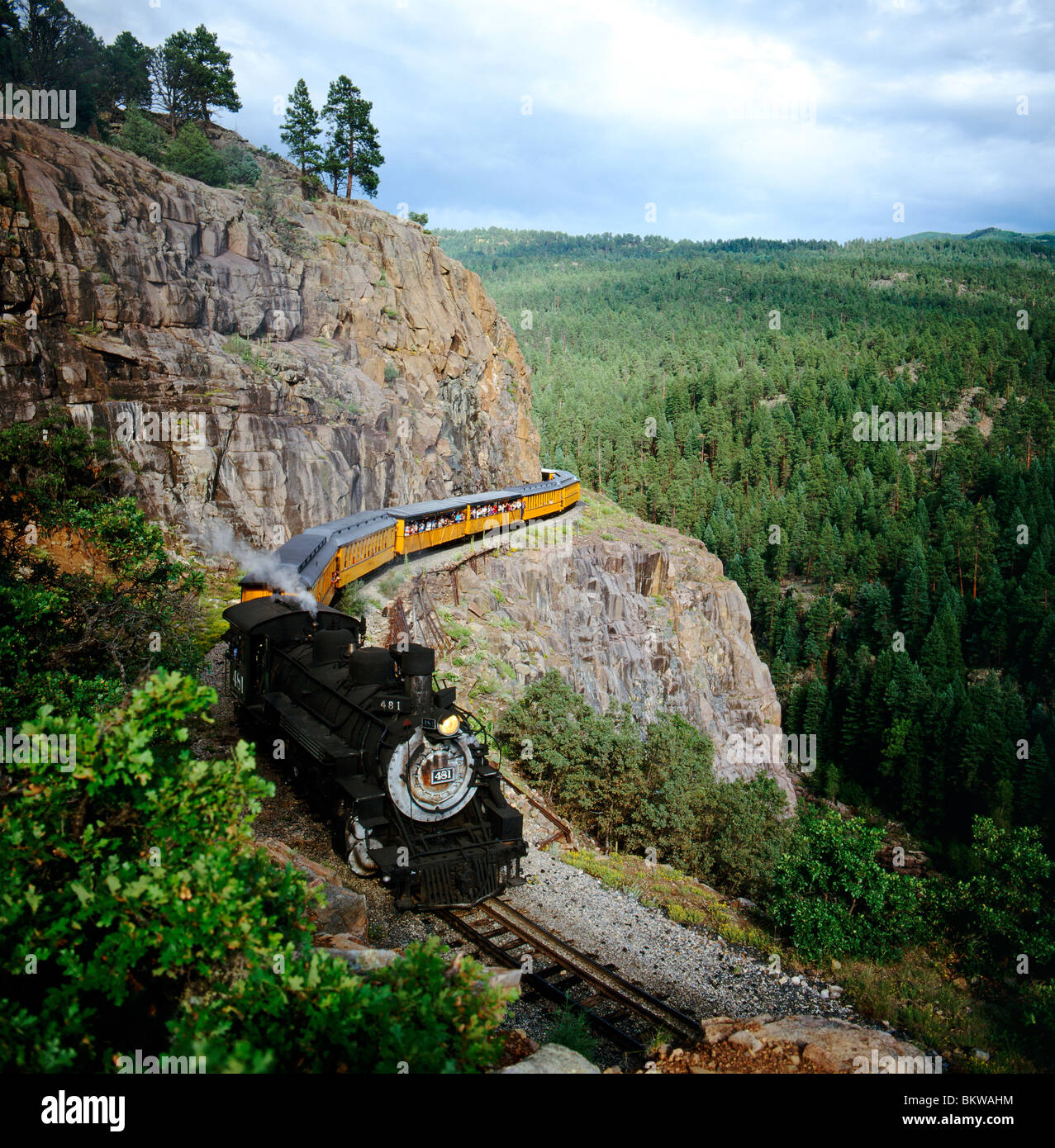 Durango & Silverton Narrow Gauge Railroad et les touristes le long de la rivière Animas & Canyon, San Juan National Forest, Colorado, USA Banque D'Images
