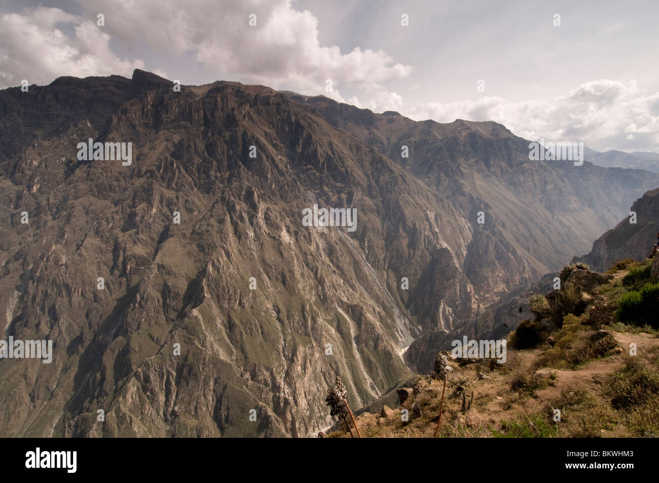 Canyon de Colca, Pérou Banque D'Images