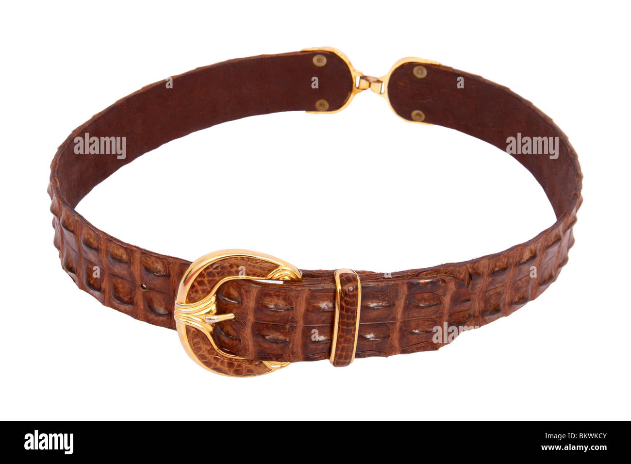 Crocodile skin belt Banque de photographies et d'images à haute résolution  - Alamy