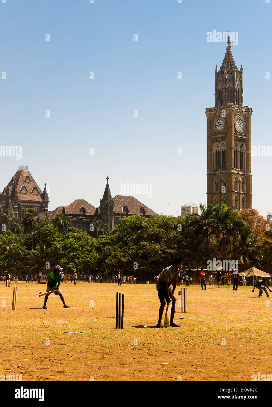 Les gens à jouer au cricket, Oval Maidan, Bombay, Inde Banque D'Images