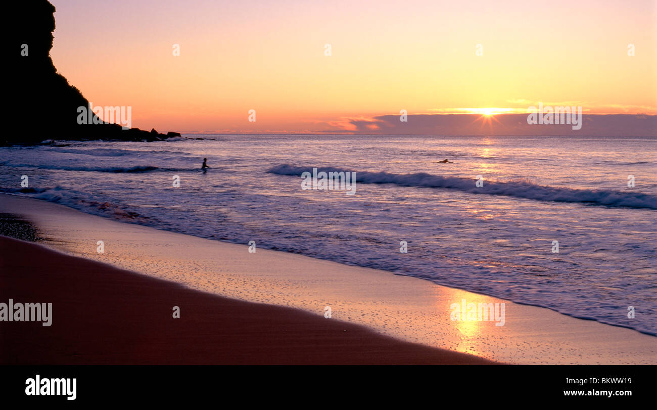 Les surfeurs de partir au lever du soleil à Bungan Beach, New South Wales, Australie Banque D'Images