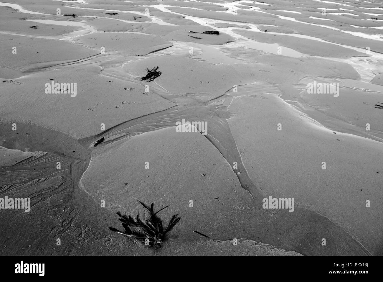 Des modèles dans sable d'une plage Banque D'Images