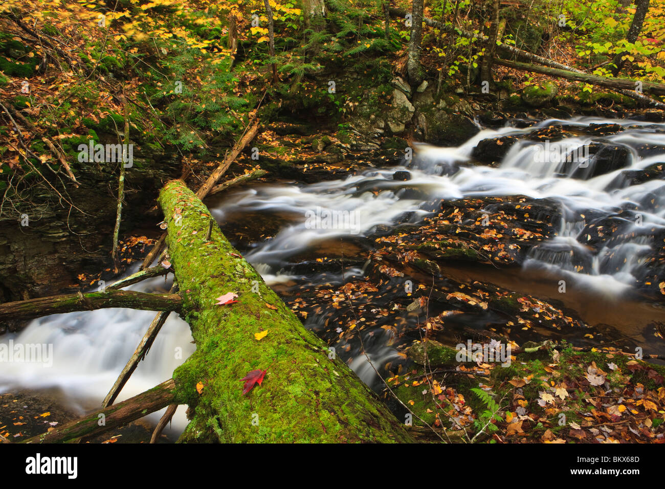 Les cataractes, une cascade sur Frye Brook dans le Maine's Northern Forest. De l'automne. Banque D'Images