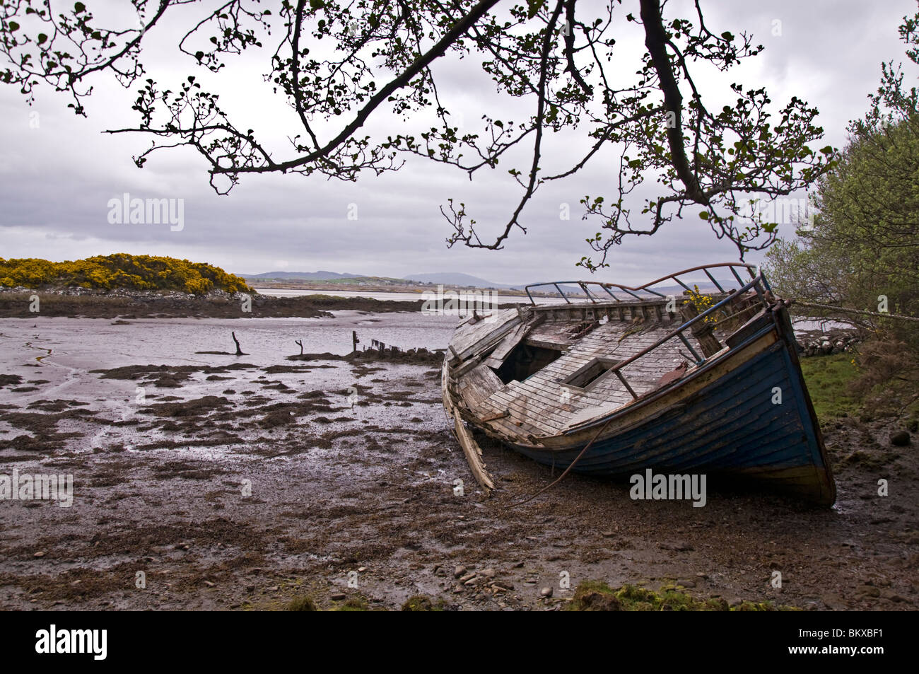 Vieux bateau en bois en décomposition progressivement étendu sur la rive Banque D'Images