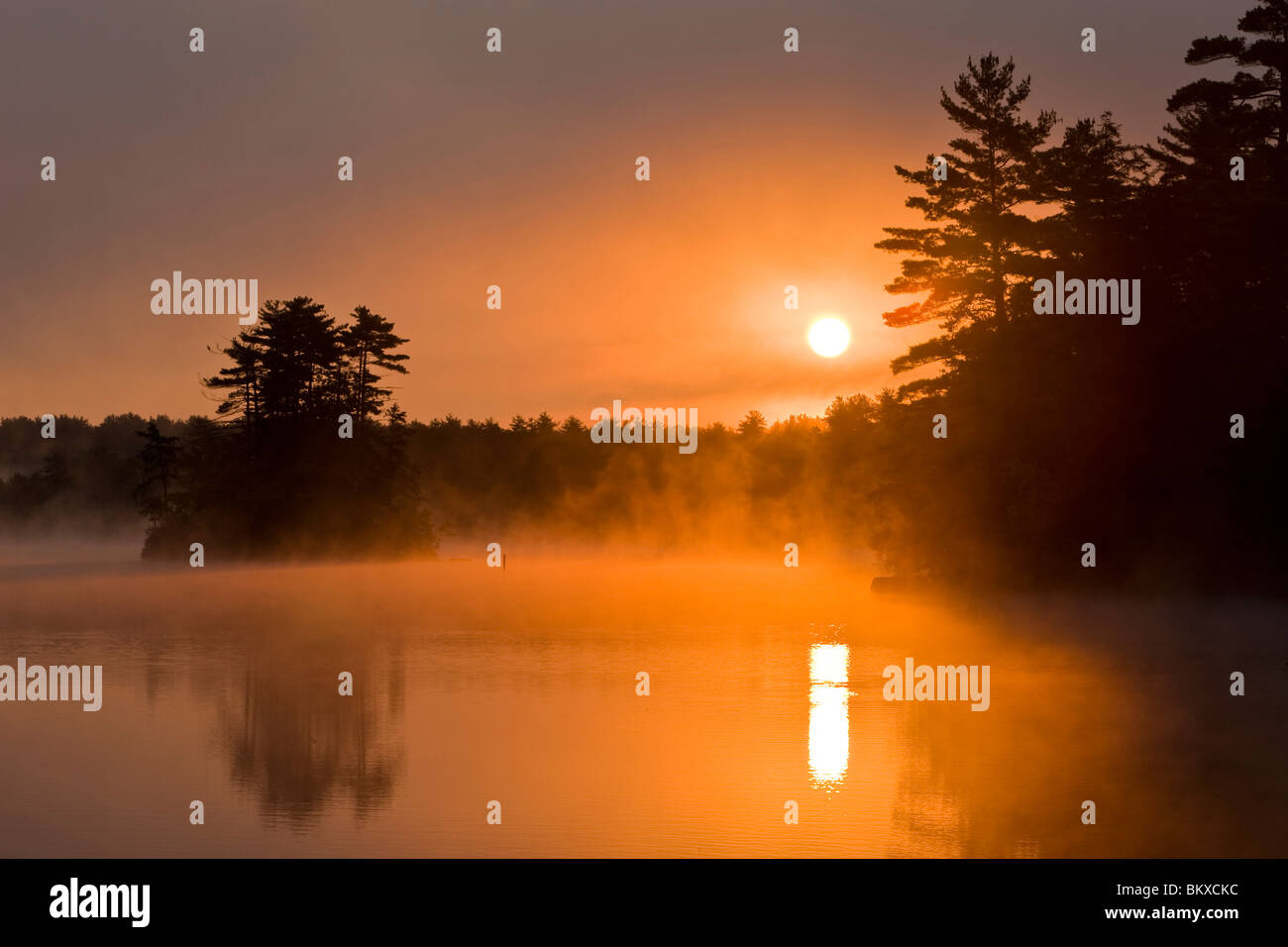 Tôt le matin sur le lac Pawtuckaway vu de l'île dans le New Hampshire's Pawtuckaway State Park. Banque D'Images