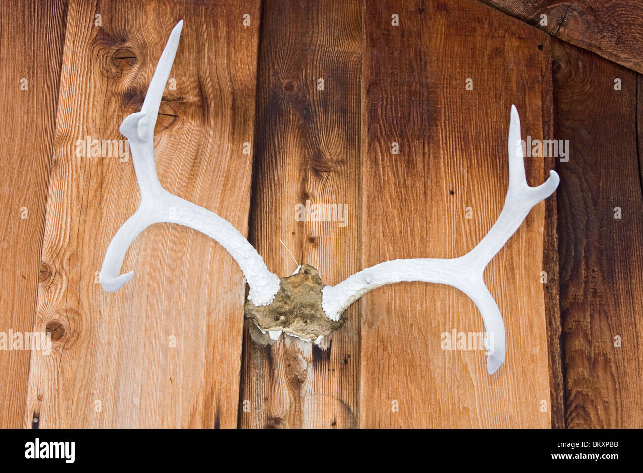 L'extérieur du bâtiment principal du ranch à Camp Richardson Corral, où les touristes peuvent monter dans des traîneaux tirés par des chevaux à travers les bois en hiver Banque D'Images